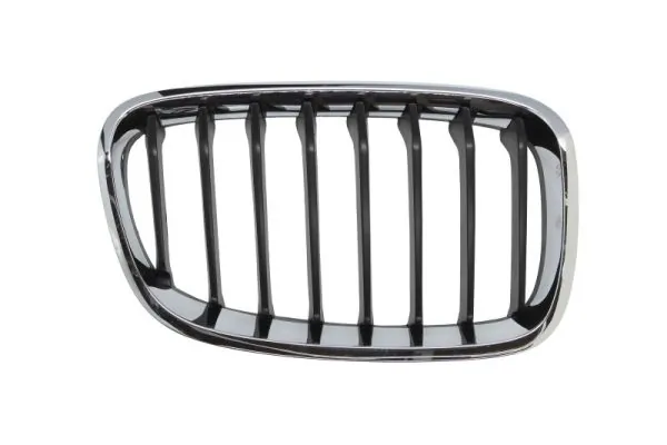 Grila radiator