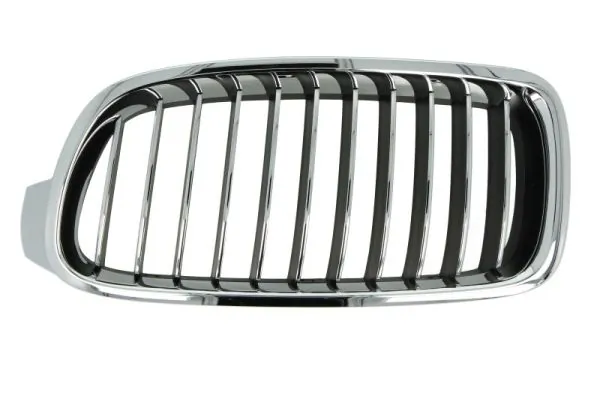 Grila radiator