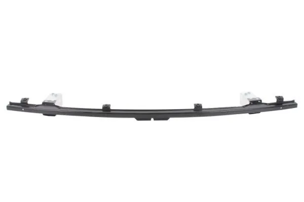 Elemente decorative/protectie parbriz