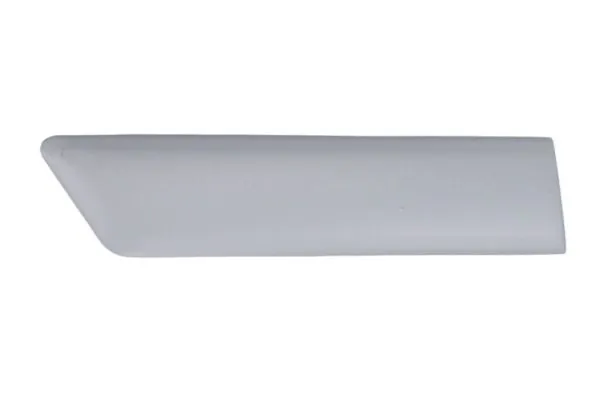 Elemente decorative/protectie, aripa
