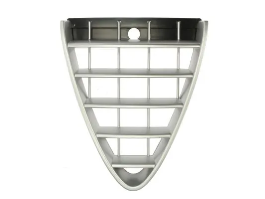 Grila radiator