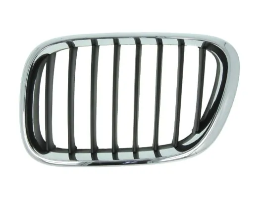 Grila radiator
