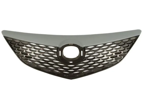 Grila radiator