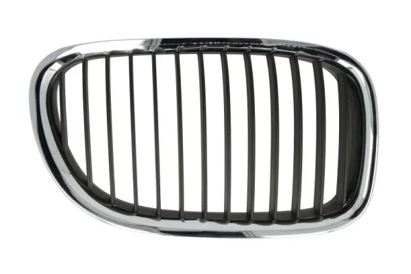 Grila radiator