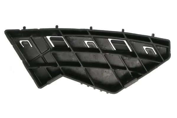 Elemente decorative/protectie parbriz