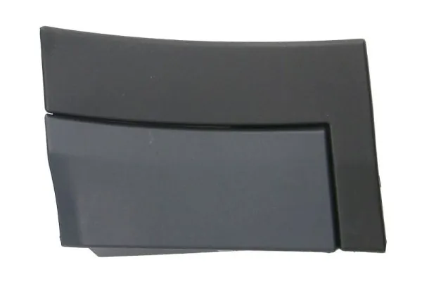 Elemente decorative/protectie aripa