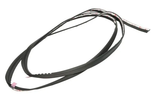 Elemente decorative/protectie parbriz
