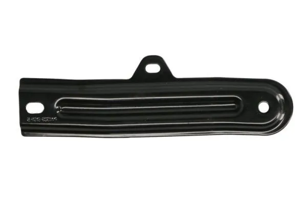 Elemente decorative/protectie parbriz