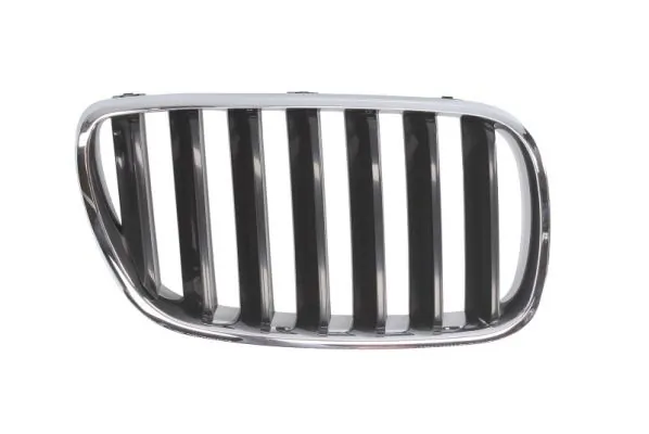 Grila radiator