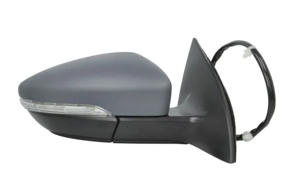 Oglinda exterioara