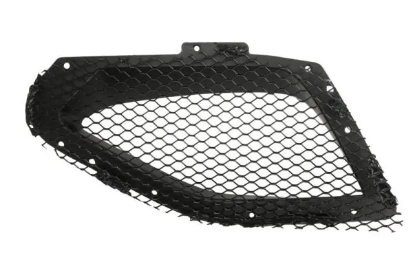 Grila radiator
