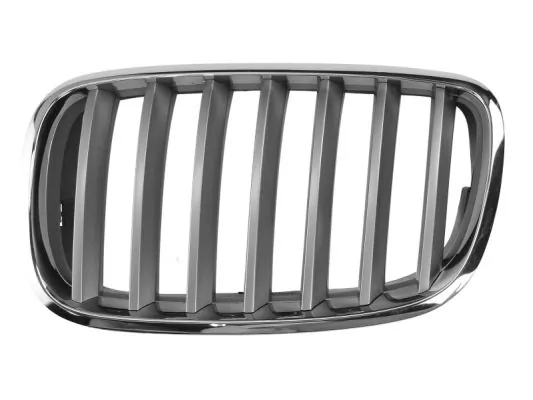Grila radiator