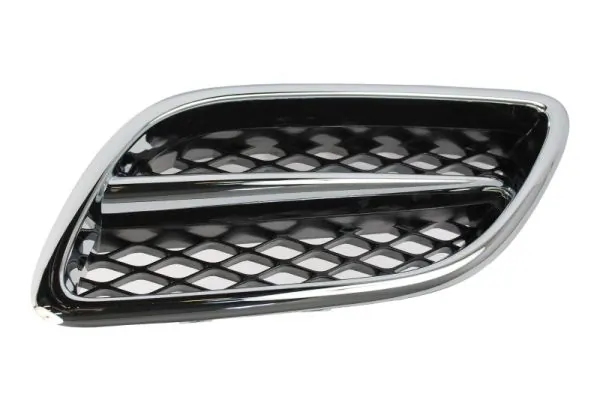 Grila radiator