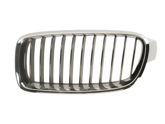 Grila radiator