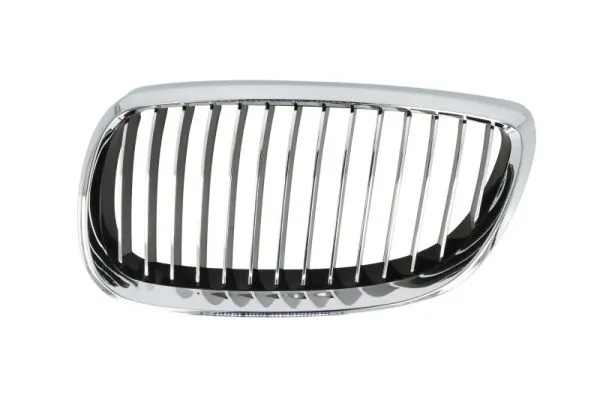 Grila radiator