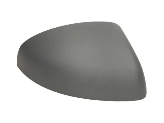 Carcasa oglinda exterioara