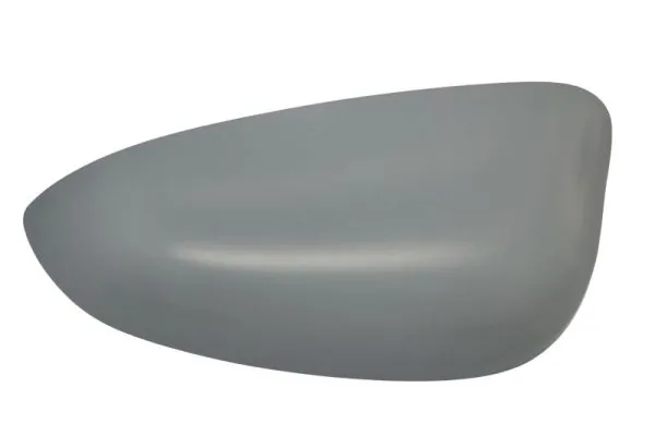Carcasa oglinda exterioara