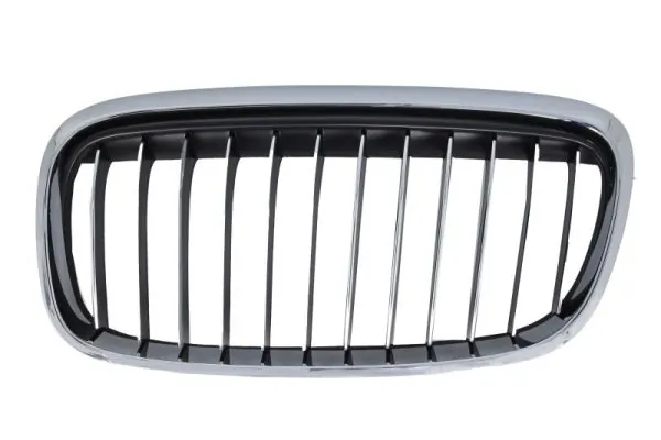 Grila radiator