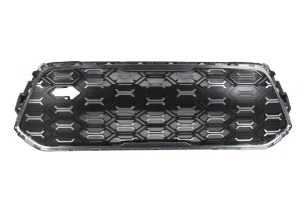 Grila radiator