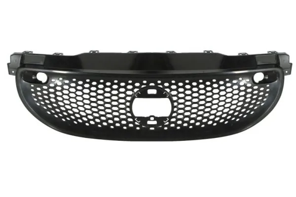 Grila radiator