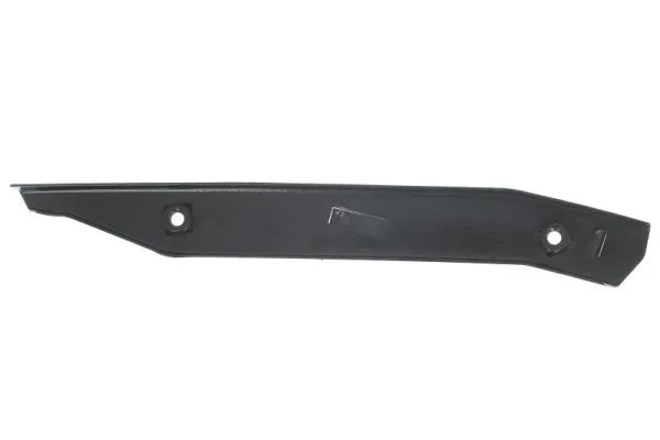 Elemente decorative/protectie parbriz