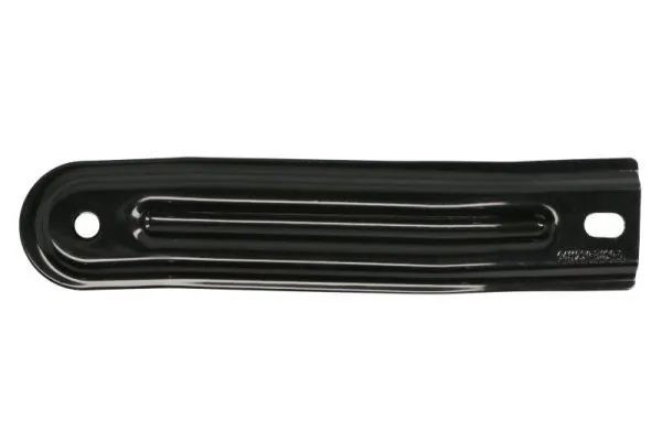 Elemente decorative/protectie parbriz