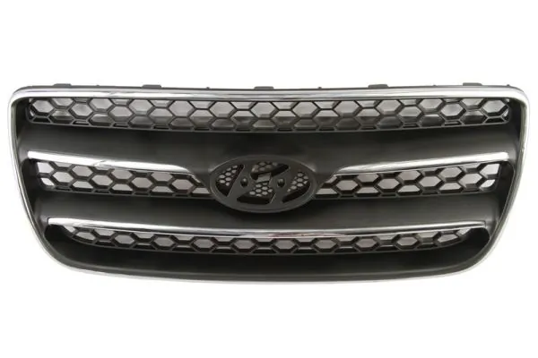 Grila radiator