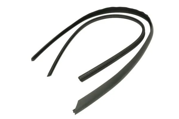 Elemente decorative/protectie parbriz