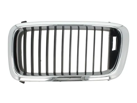 Grila radiator
