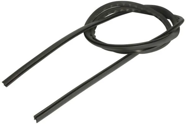 Elemente decorative/protectie, parbriz