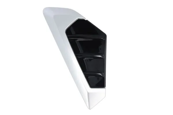 Elemente decorative/protectie aripa