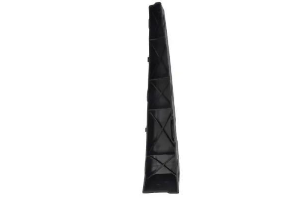 Elemente decorative/protectie parbriz