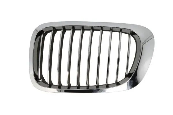 Grila radiator
