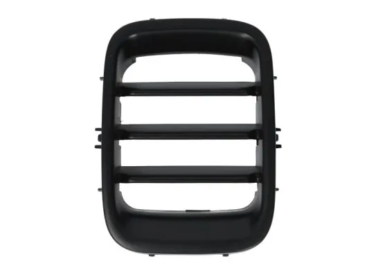 Grila radiator