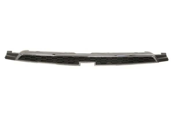 Grila radiator