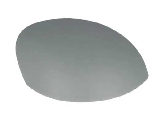 Carcasa oglinda exterioara