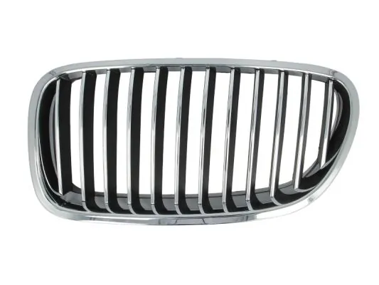 Grila radiator