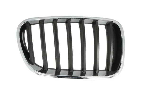Grila radiator