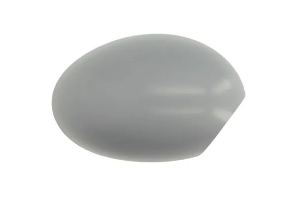 Carcasa oglinda exterioara