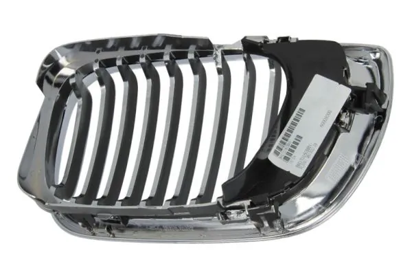 Grila radiator