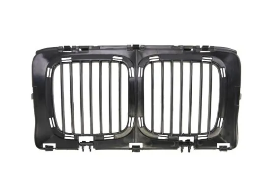 Grila radiator