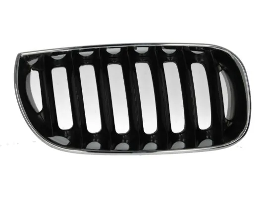 Grila radiator