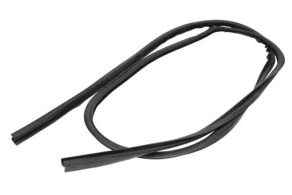 Elemente decorative/protectie parbriz