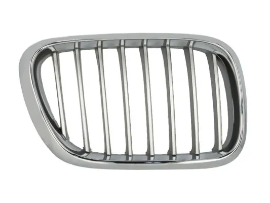 Grila radiator