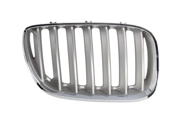 Grila radiator