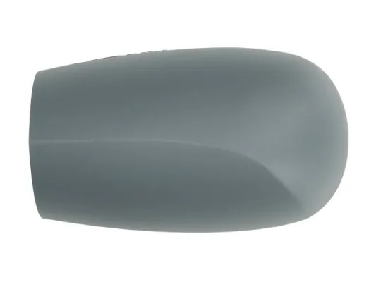 Carcasa oglinda exterioara