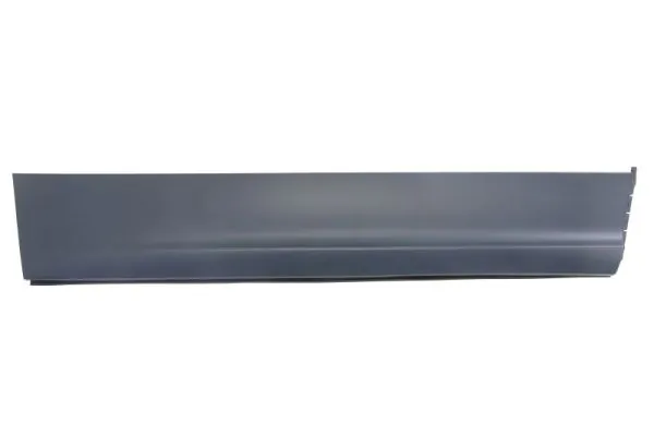 Elemente decorative/protectie portiera