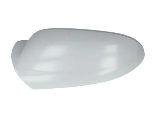 Carcasa oglinda exterioara