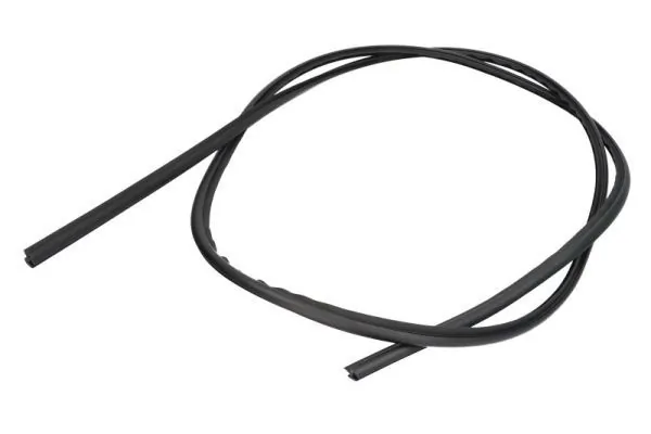 Elemente decorative/protectie, parbriz