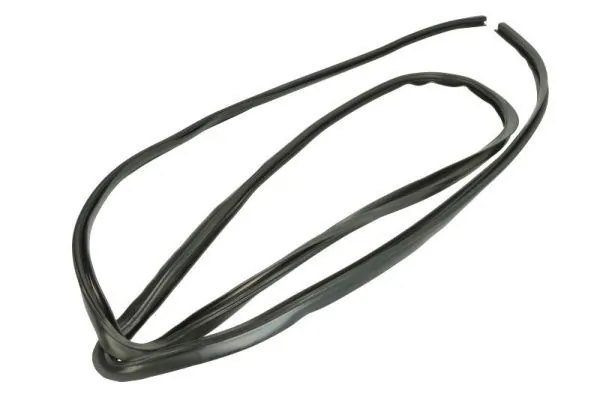 Elemente decorative/protectie parbriz